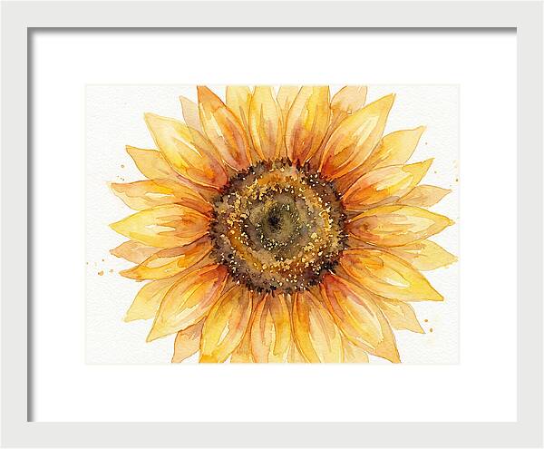 Sunflower In Bloom