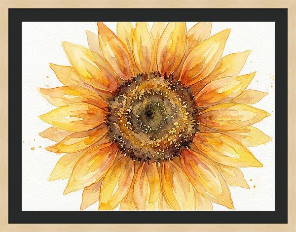 Sunflower In Bloom