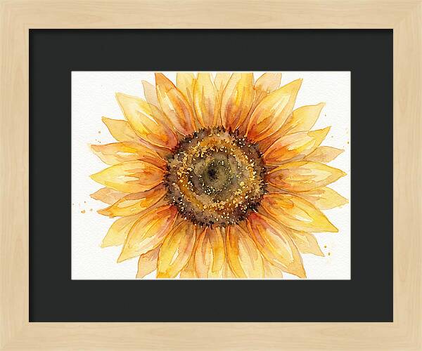 Sunflower In Bloom