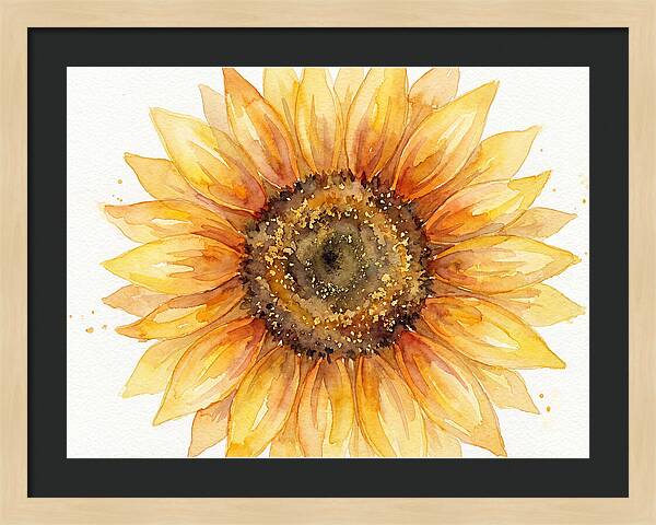 Sunflower In Bloom