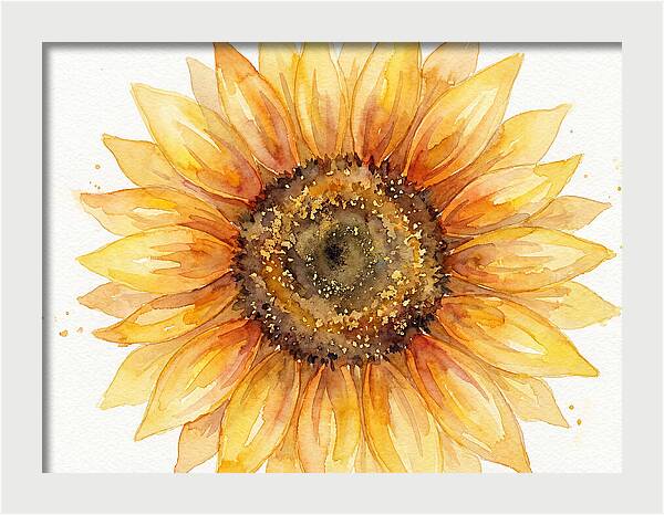Sunflower In Bloom