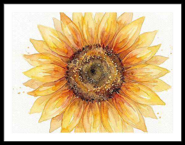 Sunflower In Bloom