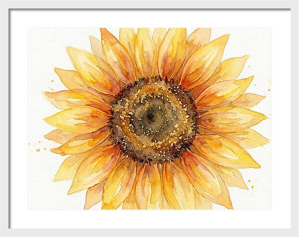 Sunflower In Bloom
