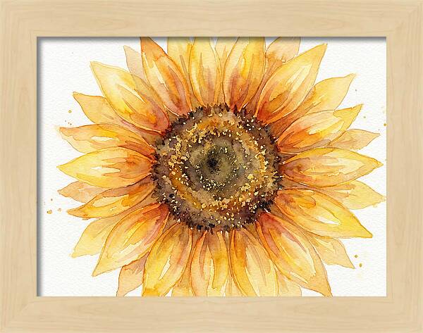 Sunflower In Bloom