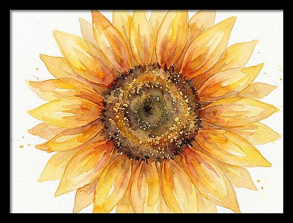 Sunflower In Bloom
