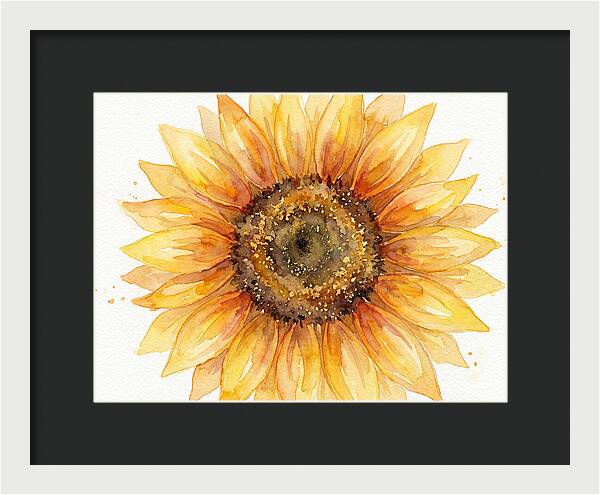 Sunflower In Bloom