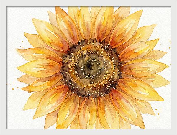 Sunflower In Bloom