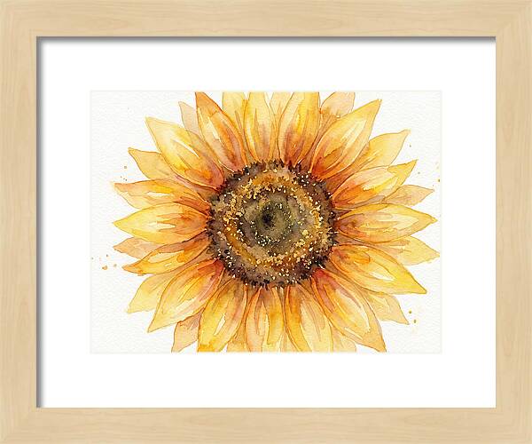 Sunflower In Bloom