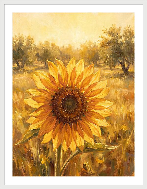 Sunflower In The Mediterranean Sunlight