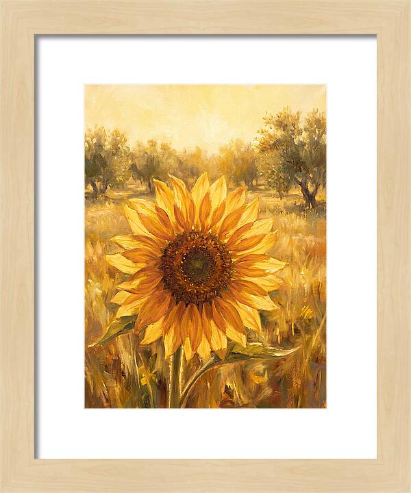Sunflower In The Mediterranean Sunlight