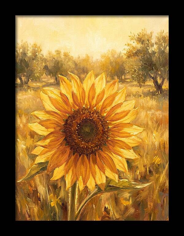 Sunflower In The Mediterranean Sunlight