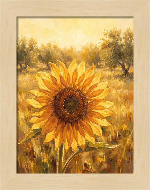 Sunflower In The Mediterranean Sunlight