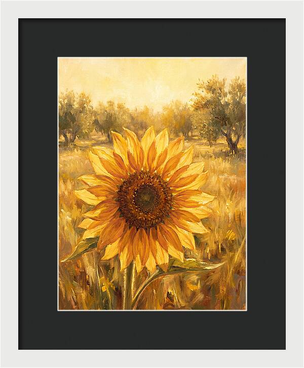 Sunflower In The Mediterranean Sunlight