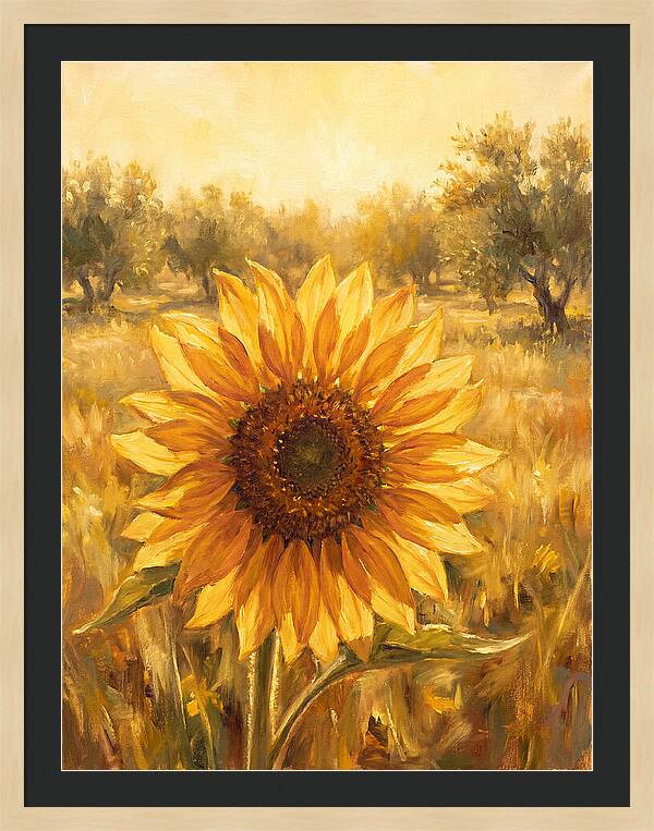Sunflower In The Mediterranean Sunlight