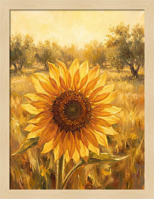 Sunflower In The Mediterranean Sunlight