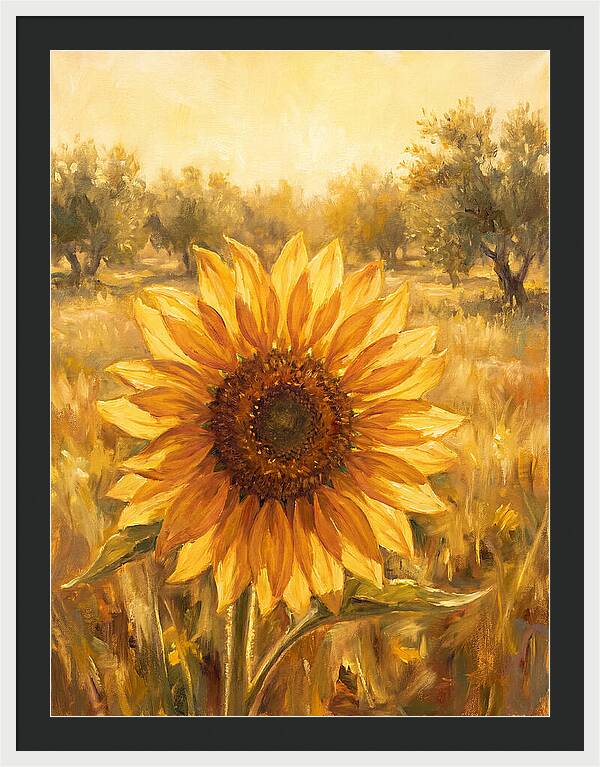Sunflower In The Mediterranean Sunlight