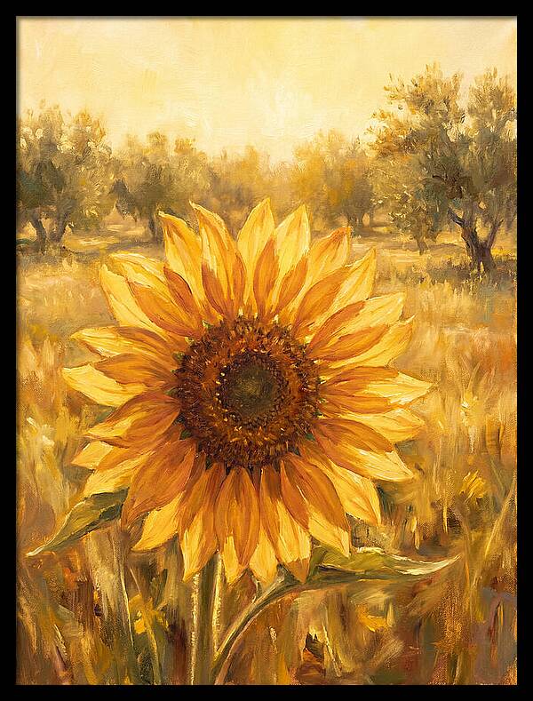 Sunflower In The Mediterranean Sunlight