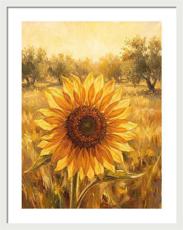 Sunflower In The Mediterranean Sunlight