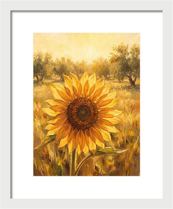 Sunflower In The Mediterranean Sunlight
