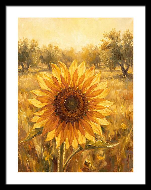 Sunflower In The Mediterranean Sunlight