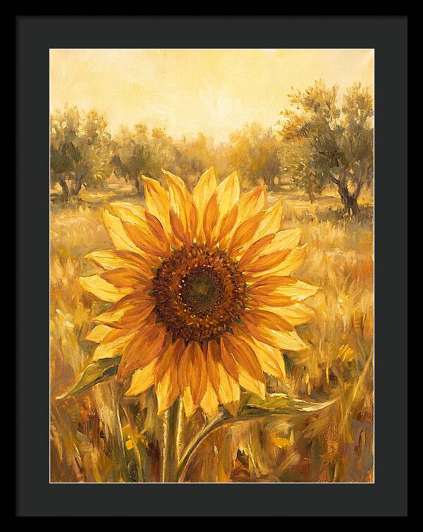 Sunflower In The Mediterranean Sunlight