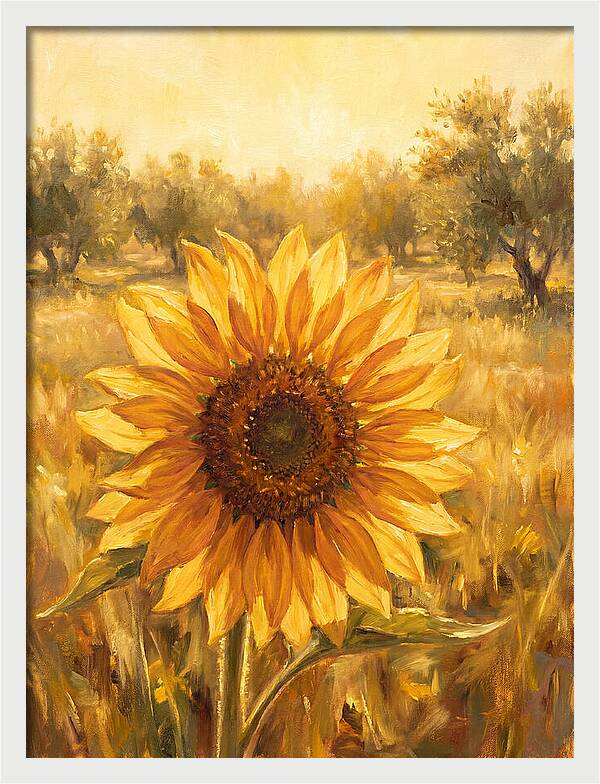 Sunflower In The Mediterranean Sunlight