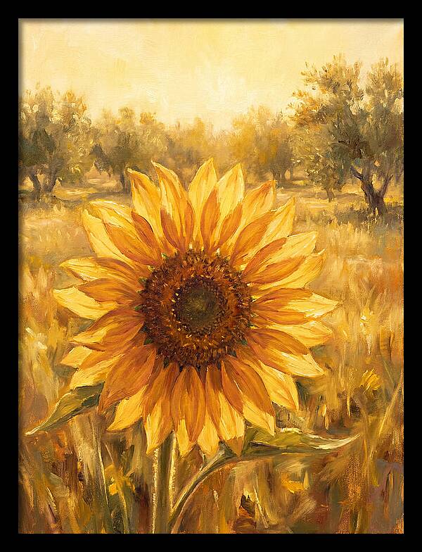 Sunflower In The Mediterranean Sunlight