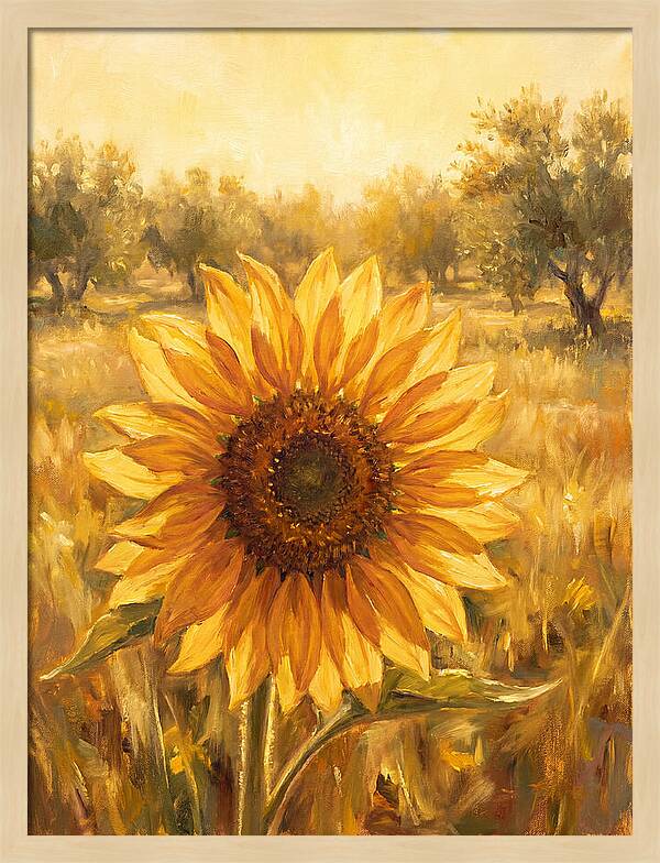 Sunflower In The Mediterranean Sunlight