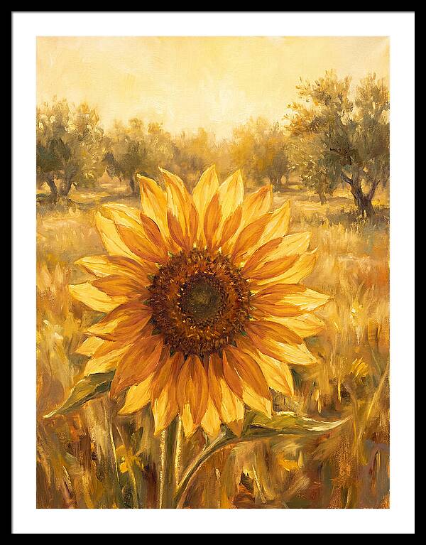 Sunflower In The Mediterranean Sunlight