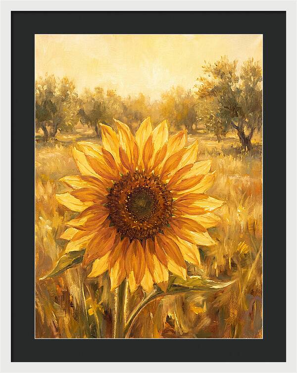 Sunflower In The Mediterranean Sunlight