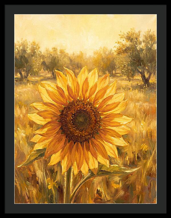 Sunflower In The Mediterranean Sunlight