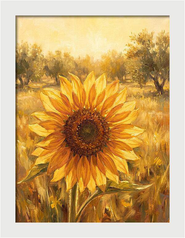 Sunflower In The Mediterranean Sunlight