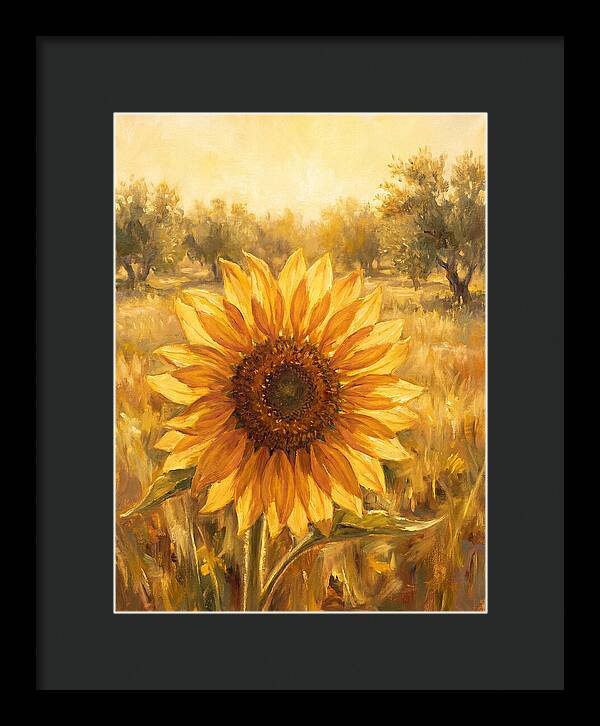 Sunflower In The Mediterranean Sunlight