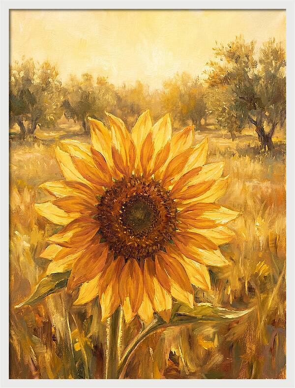 Sunflower In The Mediterranean Sunlight