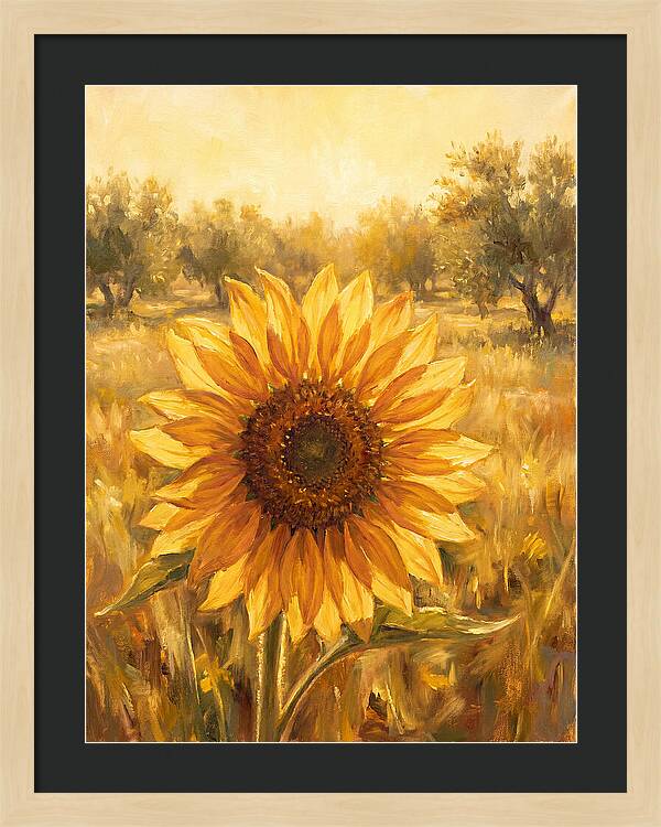 Sunflower In The Mediterranean Sunlight