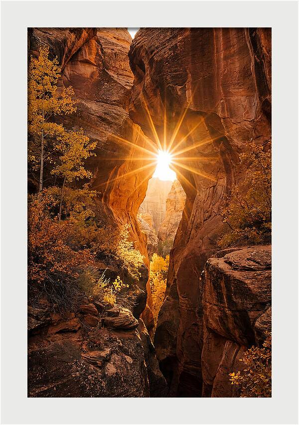 Sunlight Streaming Through Canyon