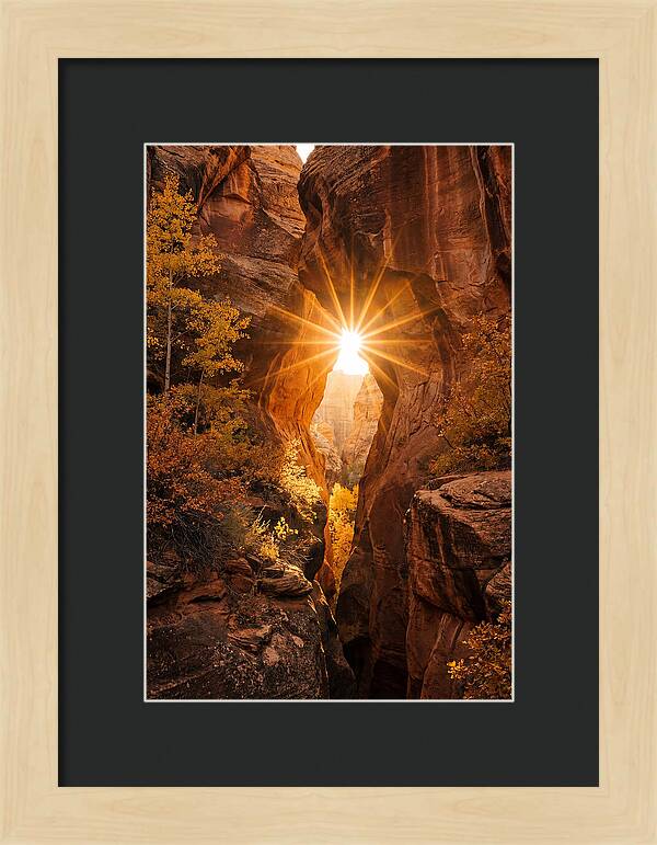 Sunlight Streaming Through Canyon