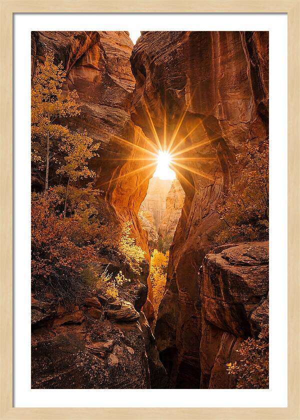 Sunlight Streaming Through Canyon