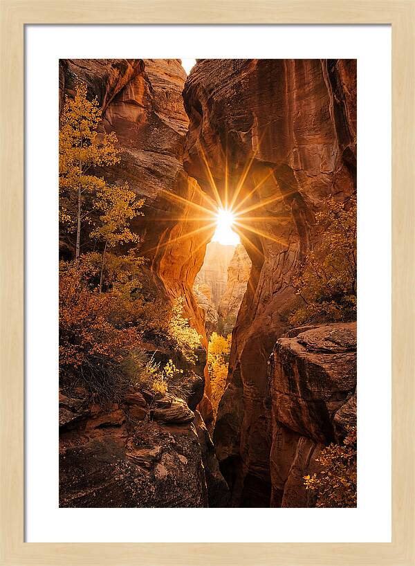 Sunlight Streaming Through Canyon