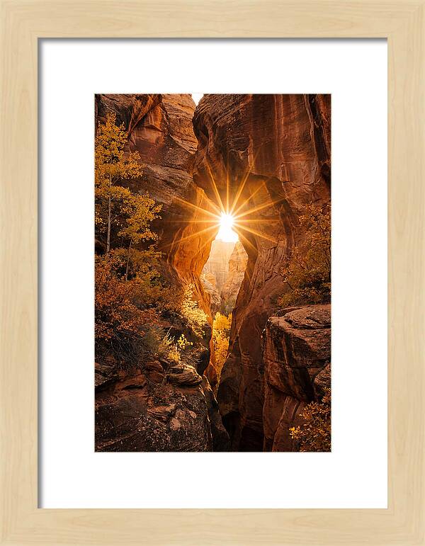 Sunlight Streaming Through Canyon