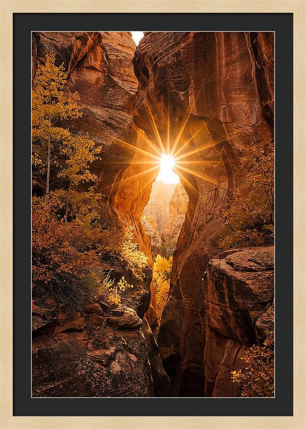 Sunlight Streaming Through Canyon