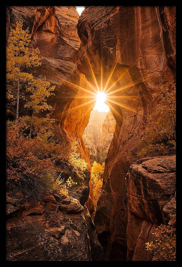 Sunlight Streaming Through Canyon