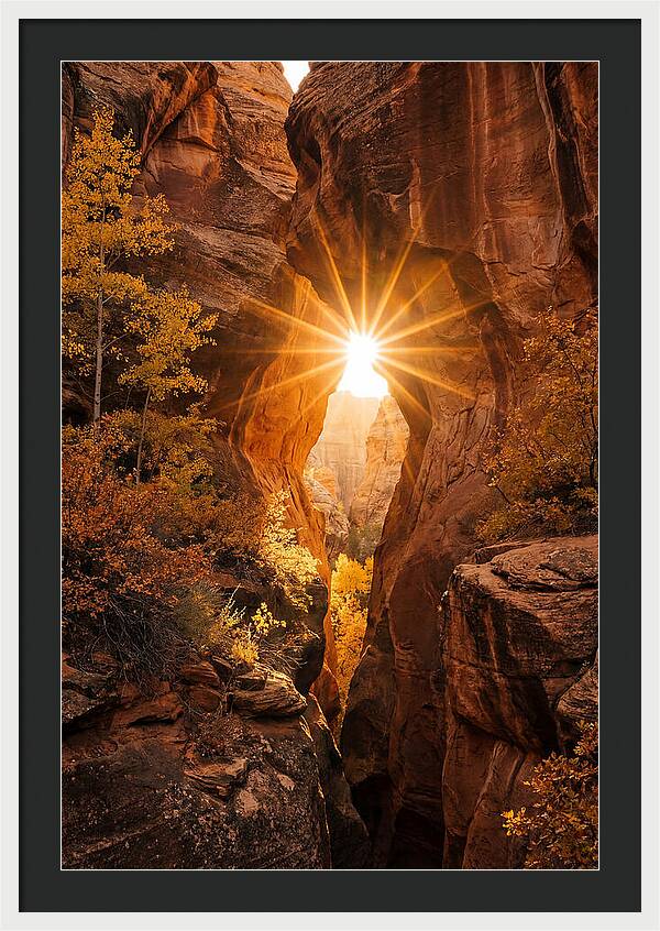 Sunlight Streaming Through Canyon