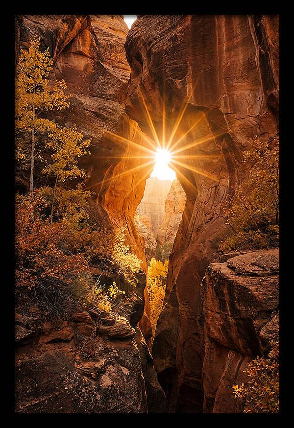 Sunlight Streaming Through Canyon