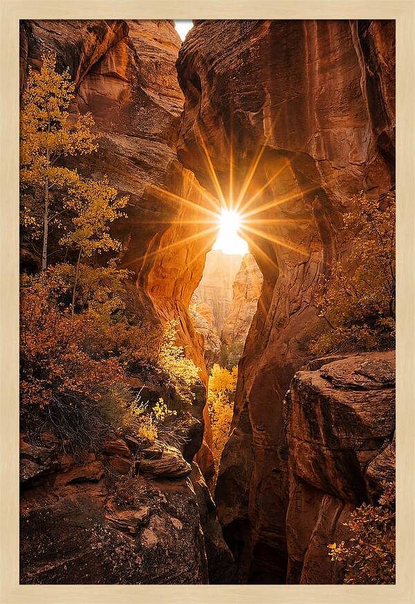 Sunlight Streaming Through Canyon