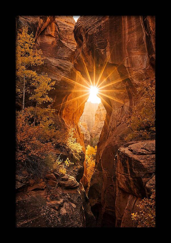 Sunlight Streaming Through Canyon