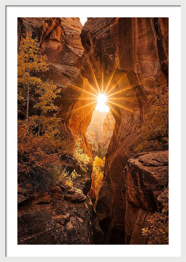 Sunlight Streaming Through Canyon