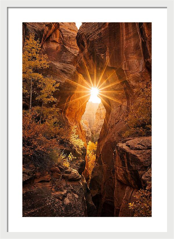 Sunlight Streaming Through Canyon