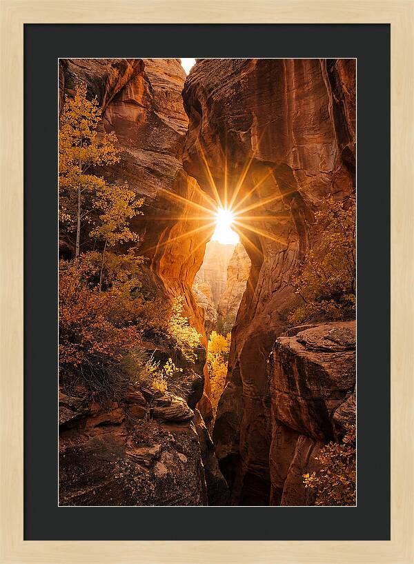 Sunlight Streaming Through Canyon