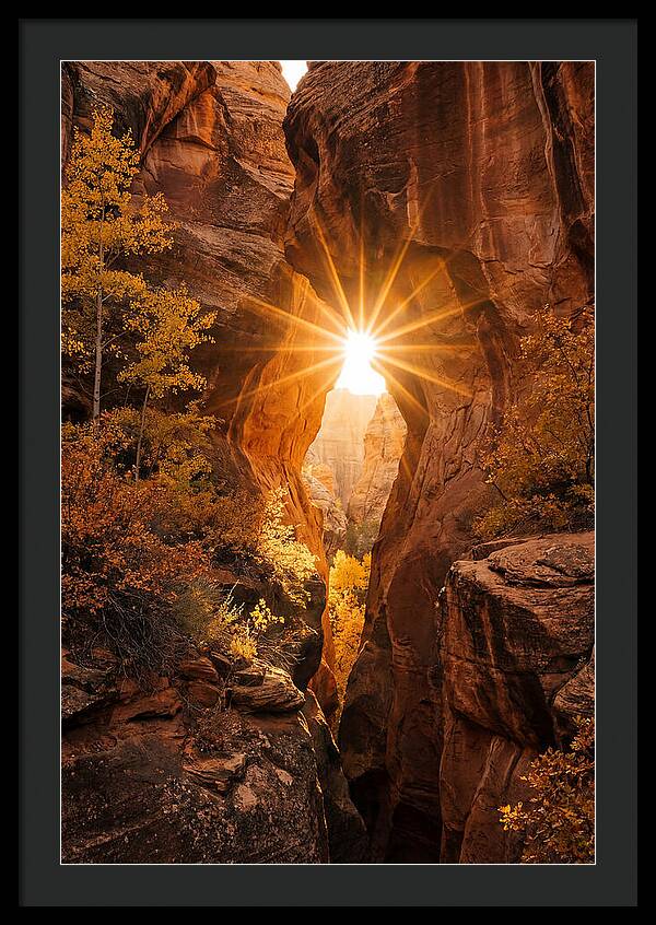 Sunlight Streaming Through Canyon